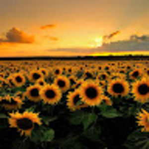 Meet your Posher, Clare